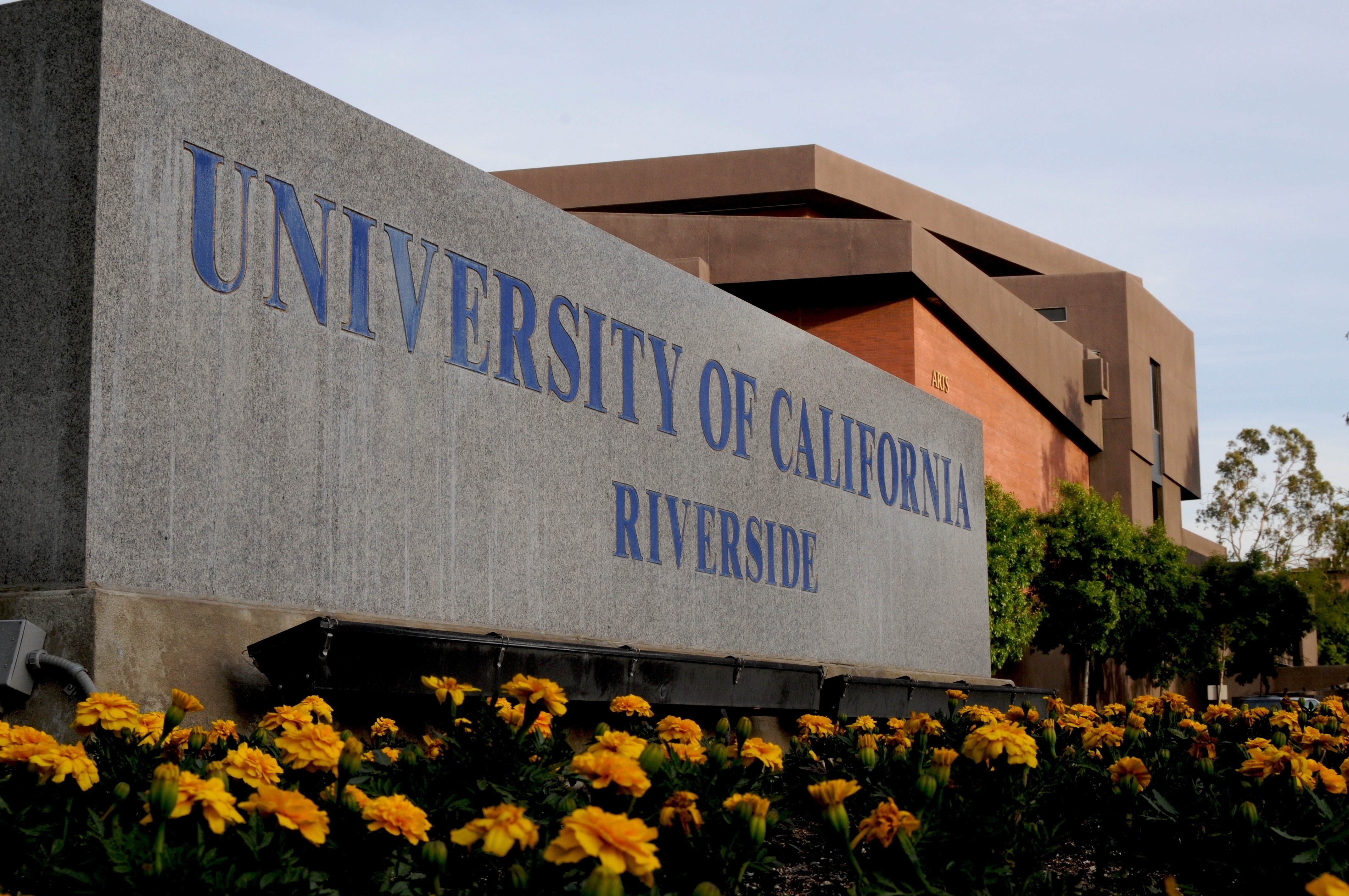 Universal university. Калифорнийский университет в Риверсайде. Университет Калифорнии в Лос-Анджелесе. Университет UCLA Лос Анджелес. Калифорнийский университет в Лос-Анджелесе кампус.