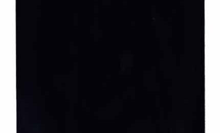 Матрица с тачскрином (модуль) для HTC Desire 400 черный - фото 2