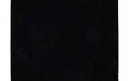 Матрица с тачскрином (модуль) для HTC Desire 500 черный - фото 2